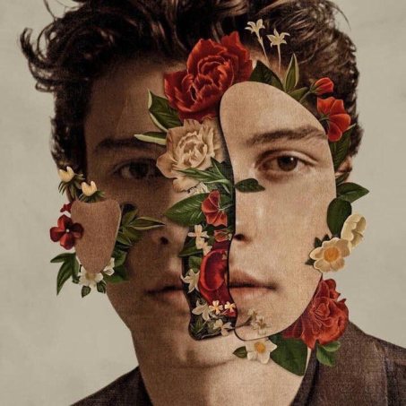 shawn-mendes-the-album.jpg